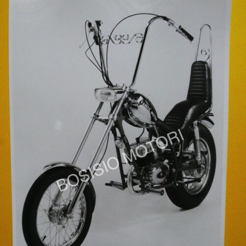 Fantic Chopper